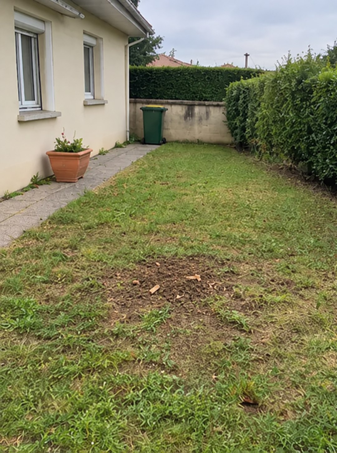 Même jardin après rognage de la souche, avec la terre fraîchement dégagée